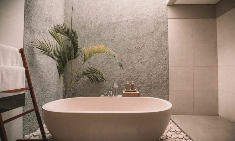 Beauty House Interior Design